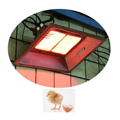 Duvara Monte Kızılötesi Brooder Isıtıcı Kuşlar İçin Kapalı Seramik Isıtıcı THD2608