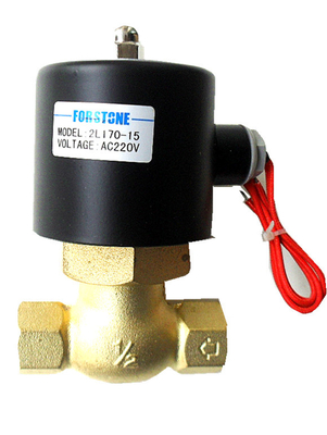 Gaz Isıtıcı Brülör için 220V 110V 1/2 İnç Pirinç Paslanmaz Çelik Solenoid Valf