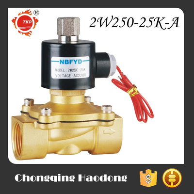 Su 2 İnç Solenoid Valf / 220V Solenoid Valf Pirinç Paslanmaz Çelik