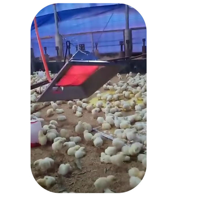 Tavuk Çiftliği Kanatlı Brooder Isıtıcı 4 model Domuz Civciv Döken Emniyet