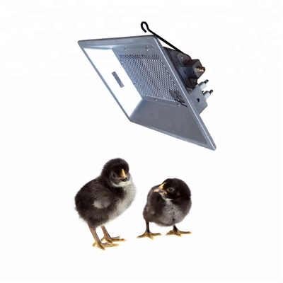 2.7 KG LP Gazlı Brooder Isıtıcılar 320*270*130mm 800-1000 Civcivler İçin