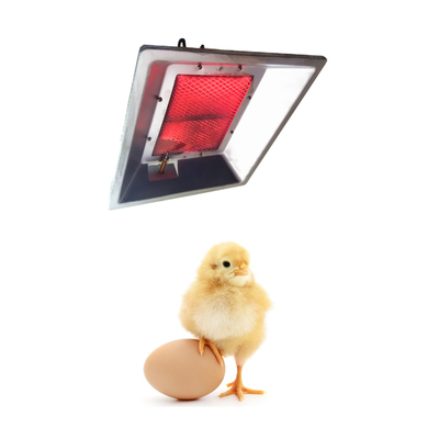 2.7 KG LP Gazlı Brooder Isıtıcılar 320*270*130mm 800-1000 Civcivler İçin